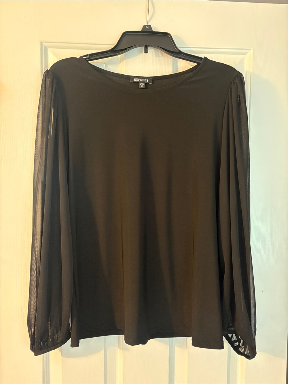 Express Black Long-Sleeve Top with Sheer Mesh Sleeves